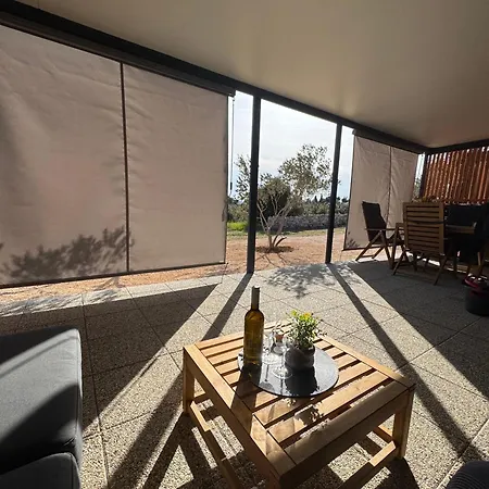 Sunny Camping