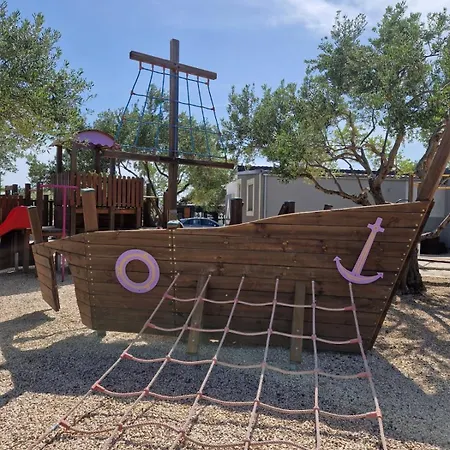Sunny Camping
